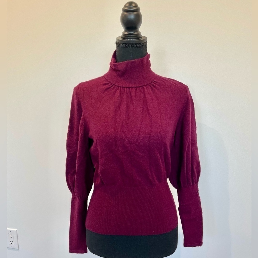 Express Purple Turtleneck Long Sleeve Top